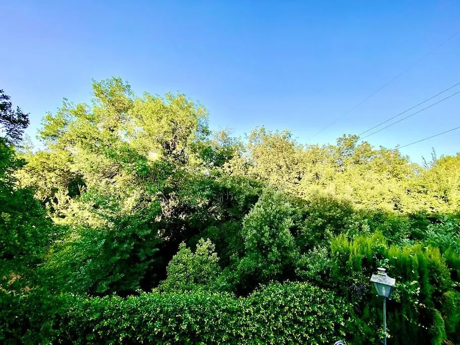 Exclusiva Casa De Lujo Con Piscinas Y Amplio Jardin En Zona Tranquila Villa Girona